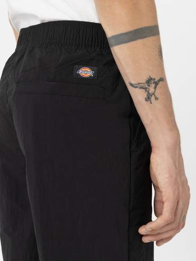 DICKIES DK0A4YLX
