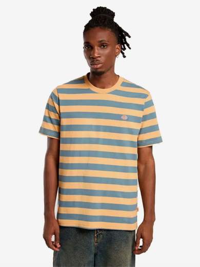 DICKIES DK0A4Y8Y