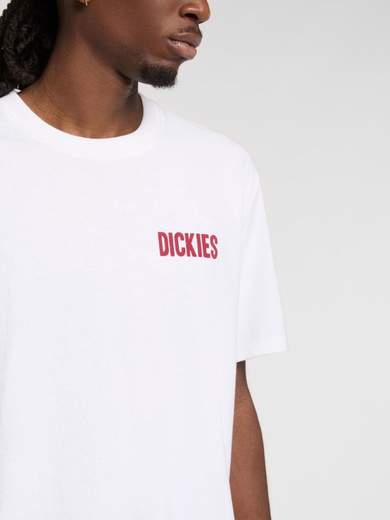 DICKIES DK0A4Z8U