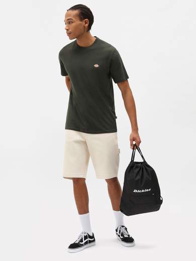 DICKIES DK0A4XDB