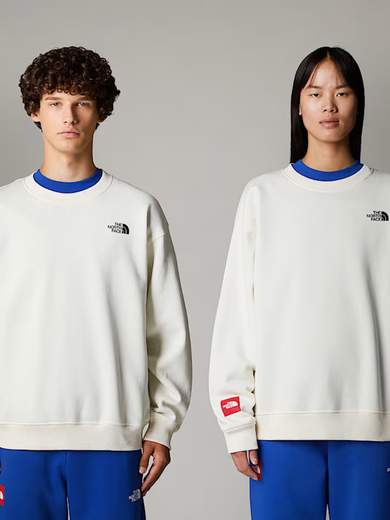 THE NORTH FACE NF0A89G0