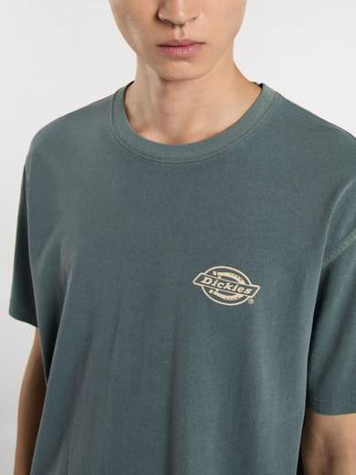 DICKIES DK0A4Z8X