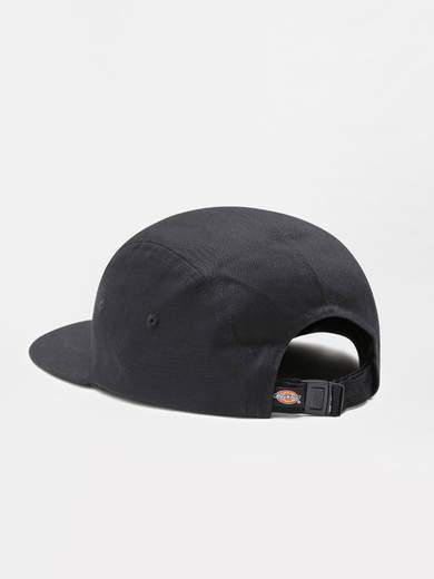 DICKIES DK0A4XC1