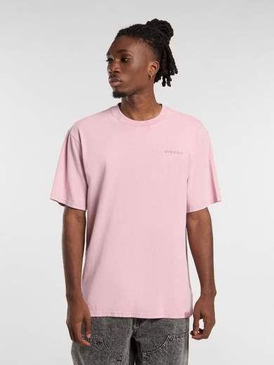 DICKIES DK0A866B