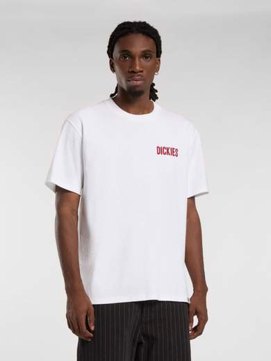 DICKIES DK0A4Z8U