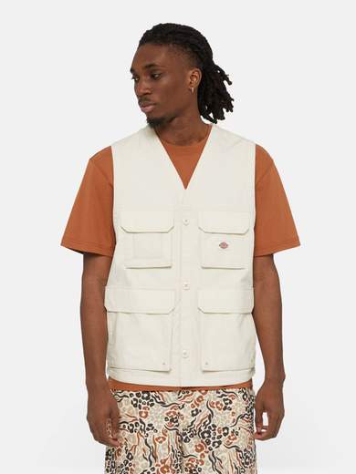DICKIES DK0A4YQP