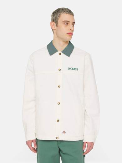 DICKIES DK0A4YQM
