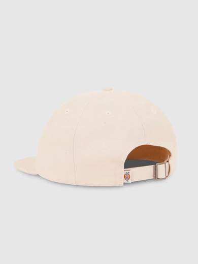 DICKIES DK0A4Z6J