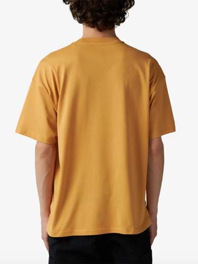 DICKIES DK0A4YRN