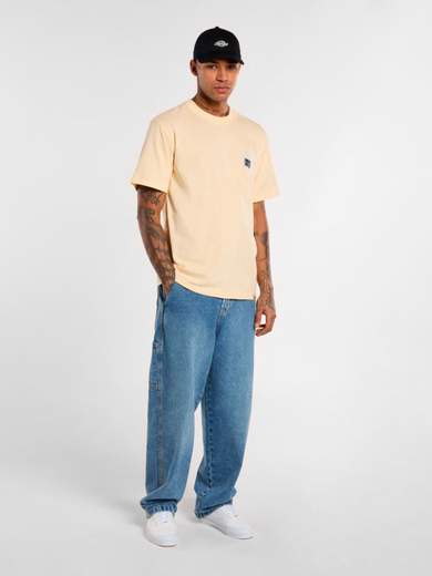 DICKIES DK0A4YEC