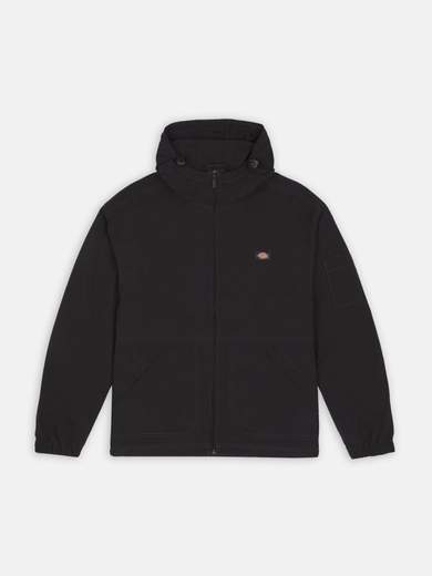 DICKIES DK0A4Y6X
