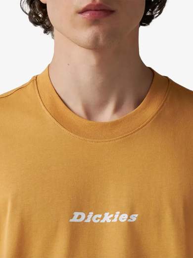 DICKIES DK0A4YRN