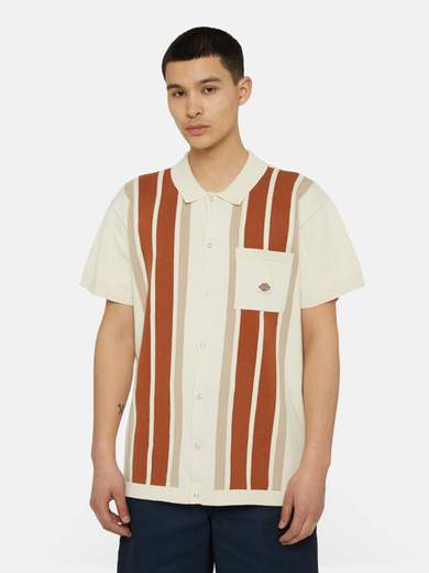 DICKIES DK0A4YSO