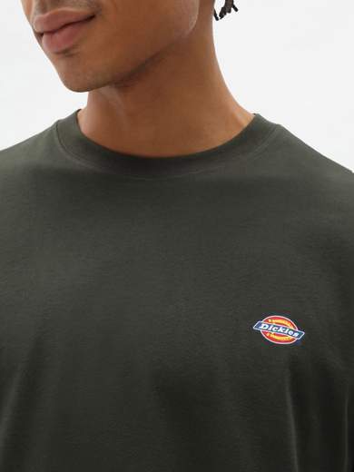 DICKIES DK0A4XDB