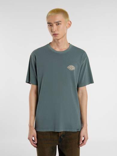 DICKIES DK0A4Z8X
