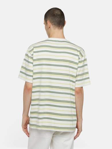 DICKIES DK0A4YR1