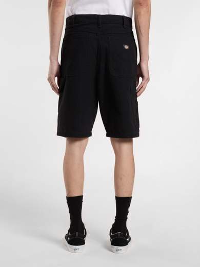 DICKIES DK0A4XNG