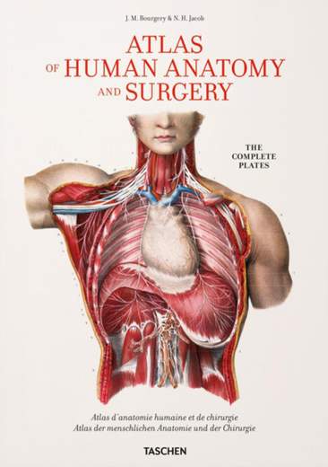 TASCHEN 9783836556637