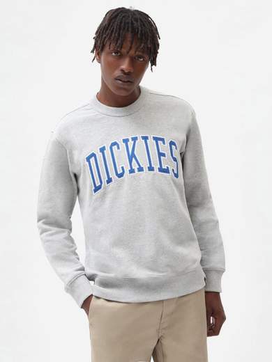 DICKIES DK0A4XAB