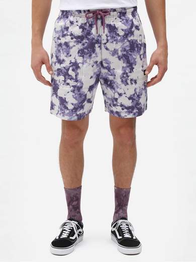 DICKIES SUNBURGSHORT