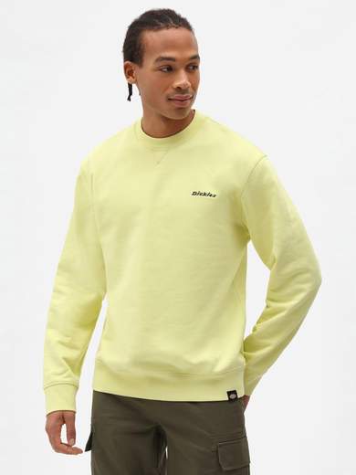 DICKIES SSMLORETTOTEE