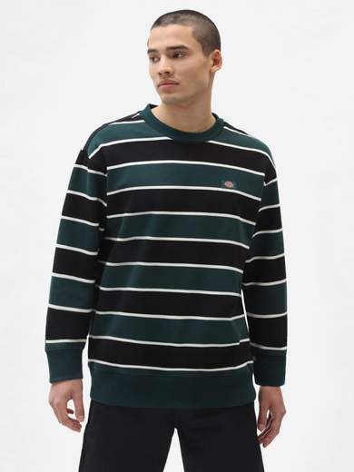DICKIES DK0A4XFN