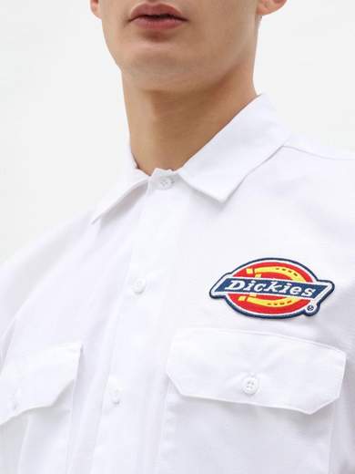 DICKIES DK0A4XRR