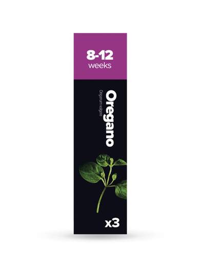 PLANTUI H012
