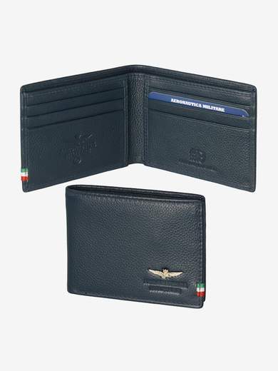 AERONAUTICA MILITARE AM-100