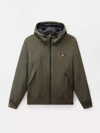 DICKIES DK0A4XG8