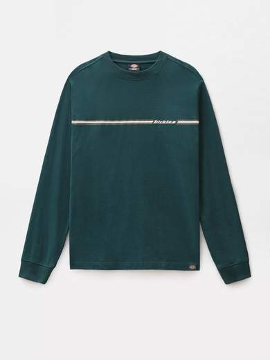 DICKIES DK0A4XIW