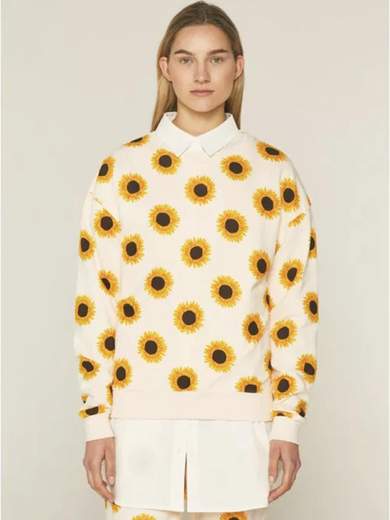 COMPANIAFANTASTICA 21C42011