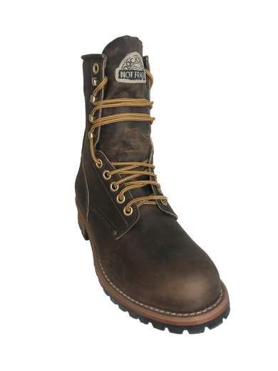DOCKSTEPS PF6998IC16A LOGGER