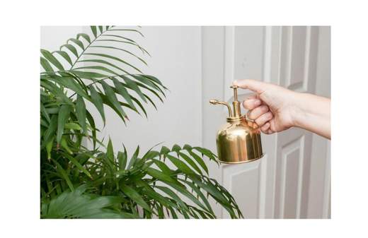 KIKKERLAND PLANT MISTER BRASS