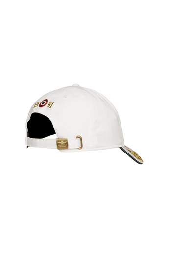 AERONAUTICA MILITARE HA104