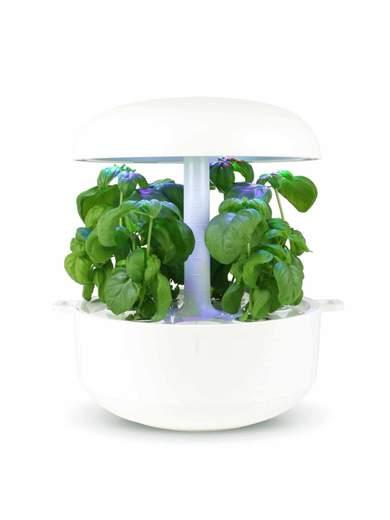 PLANTUI H001