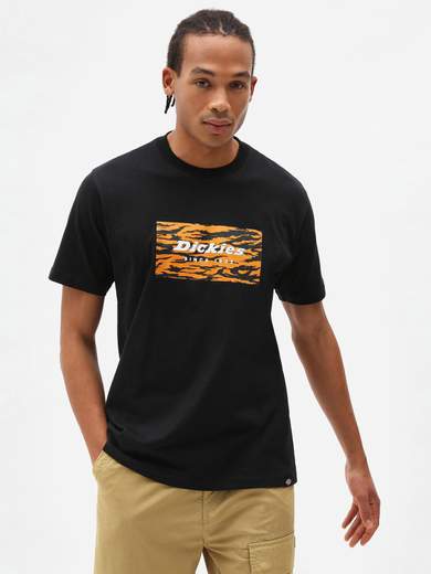 DICKIES QUAMBABOXTEE