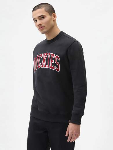 DICKIES DK0A4XAB