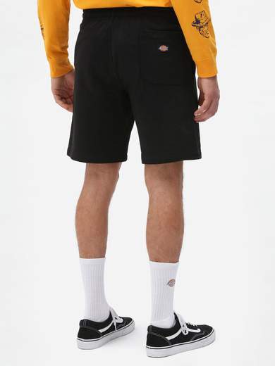 DICKIES CHAMPLINFELPA
