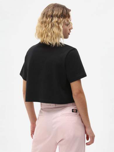 DICKIES SSPORTERDALE