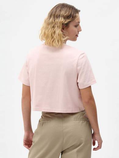 DICKIES SSPORTERDALE