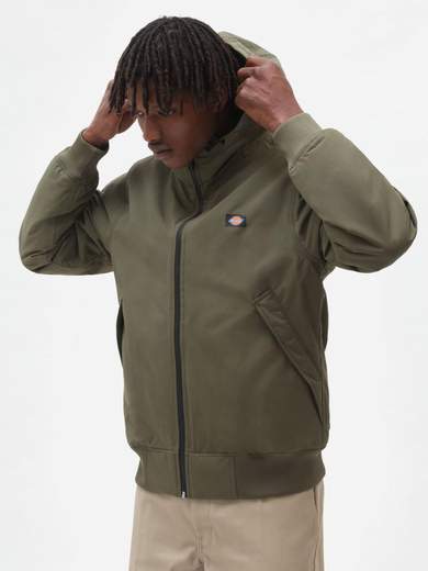 DICKIES DK0A4XG8
