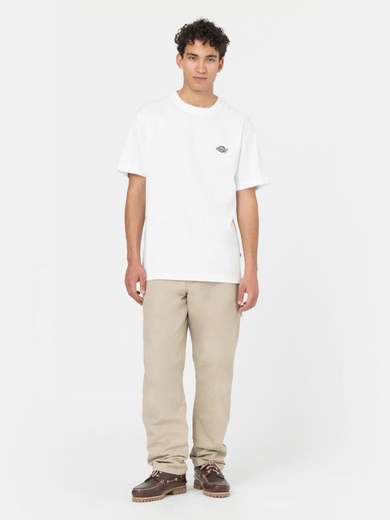 DICKIES DK0A4XIF