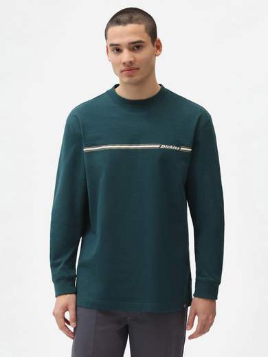 DICKIES DK0A4XIW