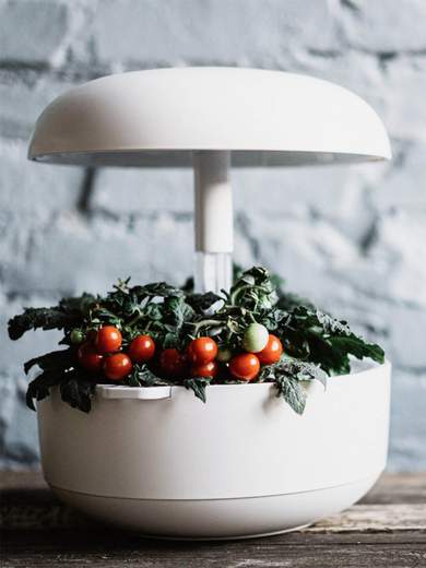 PLANTUI V002