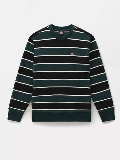 DICKIES DK0A4XFN