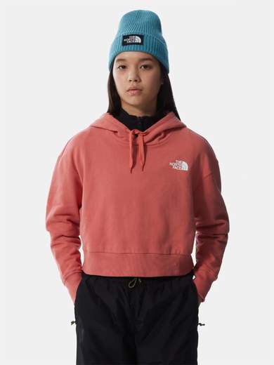 THE NORTH FACE NF0A5ICY