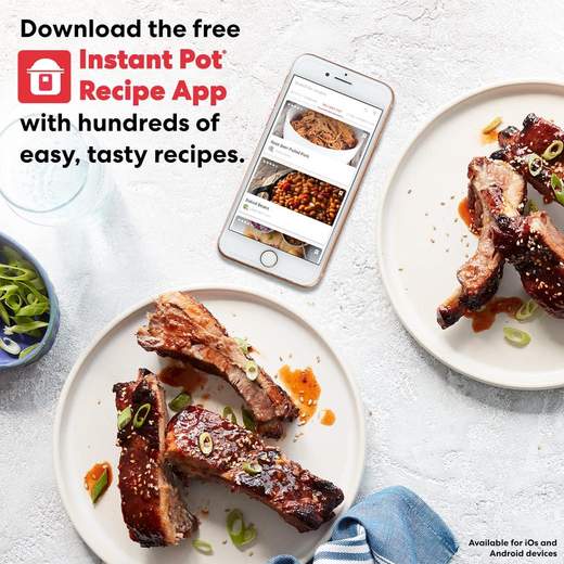 INSTANT POT 140-3032-01