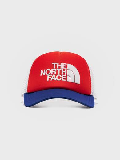 THE NORTH FACE NF0A3FM3