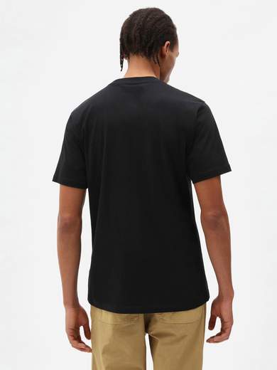 DICKIES QUAMBABOXTEE